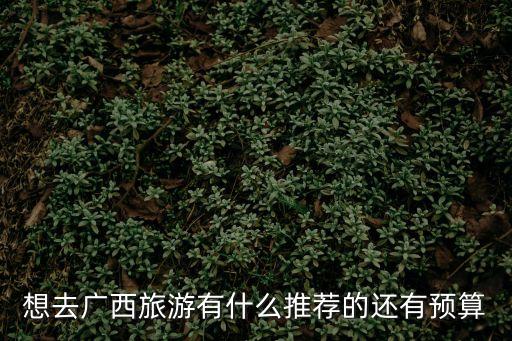 去廣西旅游，去廣西旅游要帶什么