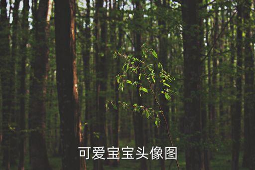 可愛寶寶頭像圖