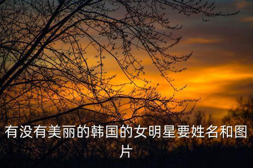 韓國(guó)明星照片，有沒(méi)有美麗的韓國(guó)的女明星要姓名和圖片