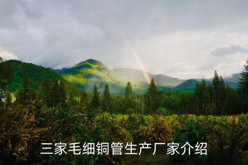 三家毛細銅管生產廠家介紹