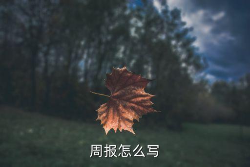 周報怎么寫