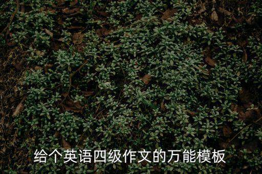給個(gè)英語四級作文的萬能模板