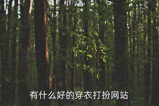 有什么好的穿衣打扮網(wǎng)站