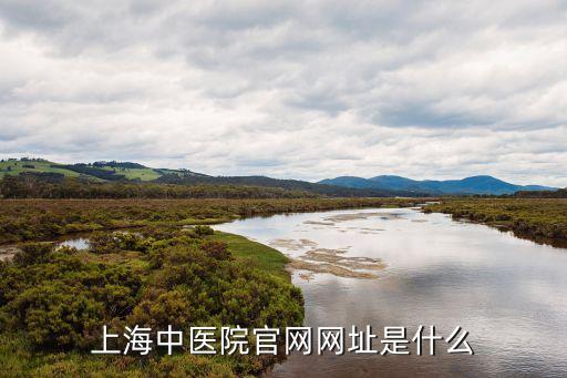 上海中醫院官網網址是什么