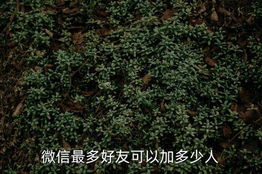 微信最多好友可以加多少人