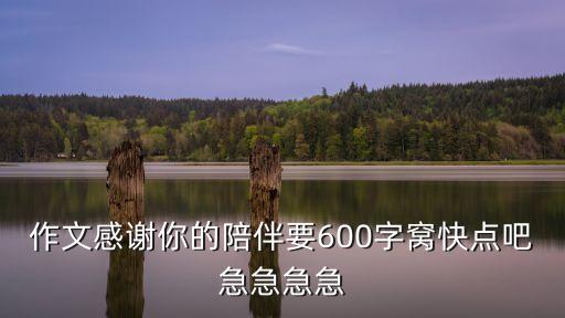 作文感謝你的陪伴要600字窩快點(diǎn)吧急急急急