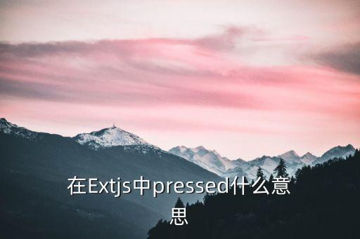 在Extjs中pressed什么意思