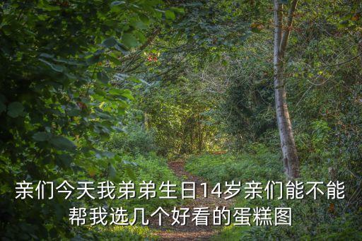 男士生日蛋糕圖片，親們今天我弟弟生日14歲親們能不能幫我選幾個好看的蛋糕圖