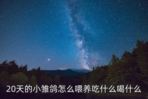 20天的小雛鴿怎么喂養(yǎng)吃什么喝什么