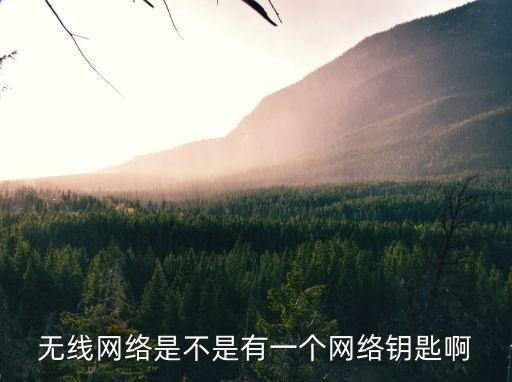 網絡鑰匙，筆記本電腦的網絡鑰匙是什么
