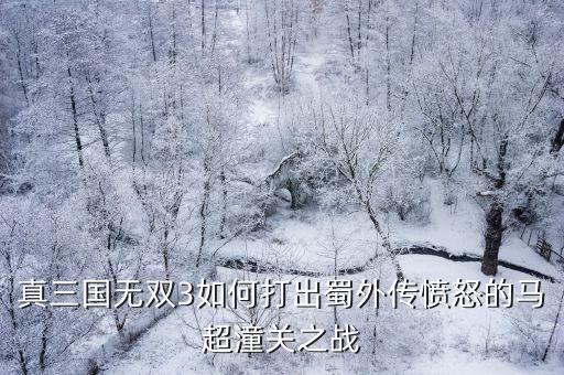 真三國無雙3如何打出蜀外傳憤怒的馬超潼關之戰
