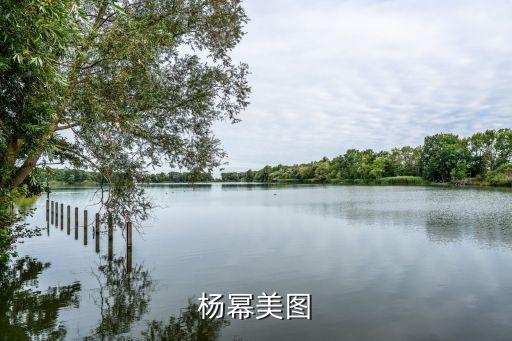 楊冪圖，楊冪美圖