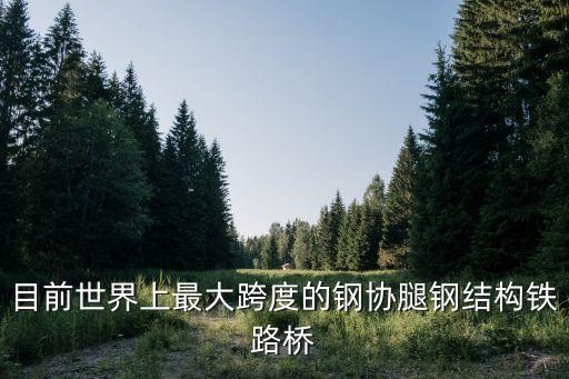 鋼結構橋梁，目前世界上最大跨度的鋼協腿鋼結構鐵路橋