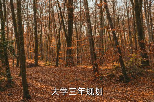 大學三年規劃