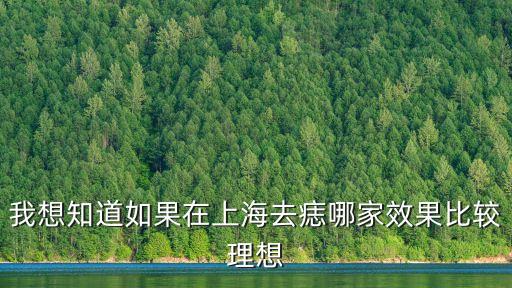 我想知道如果在上海去痣哪家效果比較理想