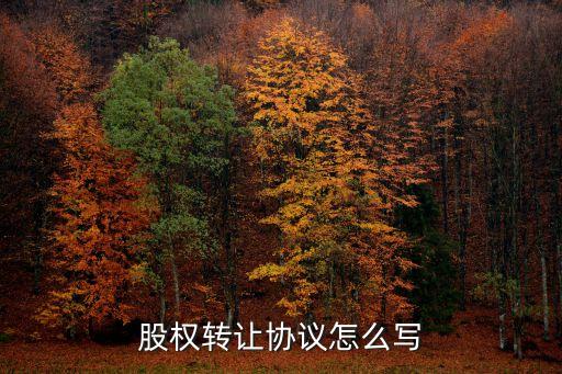 股權轉讓協議怎么寫