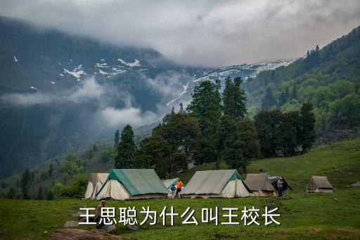 王思聰為什么叫王校長