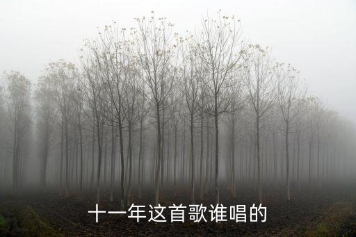 十一年這首歌誰唱的