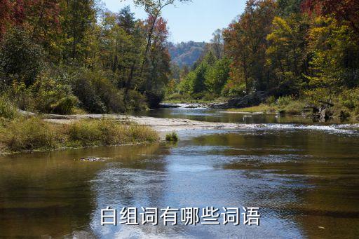 白組詞有哪些詞語(yǔ)