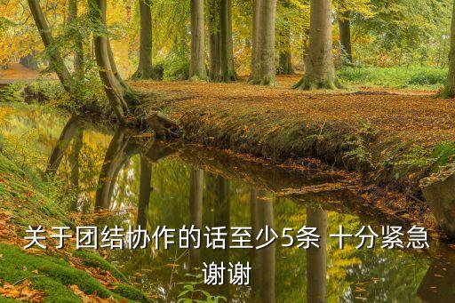 團隊協(xié)作的句子，關于團結協(xié)作的名言