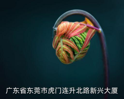 廣東省東莞市虎門(mén)連升北路新興大廈