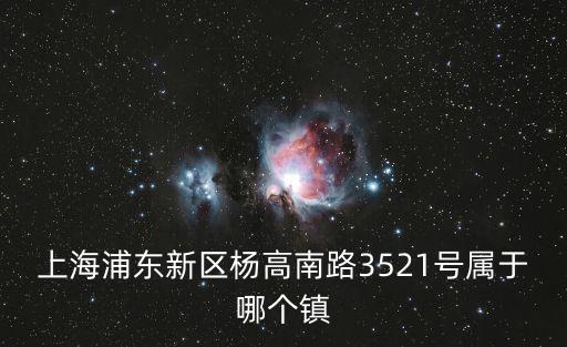 上海浦東新區楊高南路3521號屬于哪個鎮