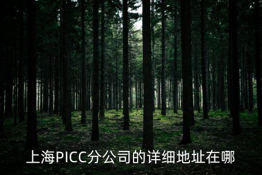上海市供銷合作總社辦公地址，上海PICC分公司的詳細(xì)地址在哪