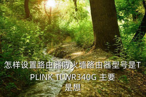 怎樣設置路由器防火墻路由器型號是TPLINK TLWR340G 主要是想