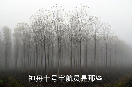 神舟十號宇航員是那些
