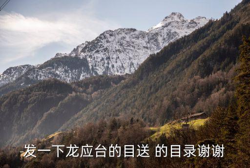 龍應臺目送，目送 龍應臺全文