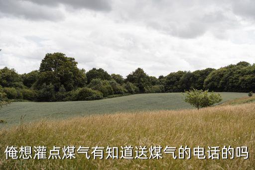 俺想灌點煤氣有知道送煤氣的電話的嗎