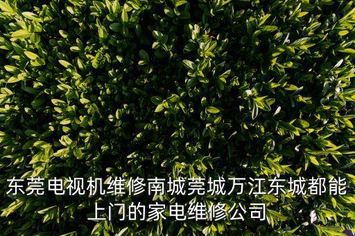 東莞東城 上門(mén) 微信，076982678424是在東莞哪個(gè)地方