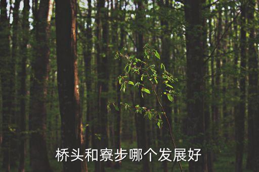 橋頭和寮步哪個發展好