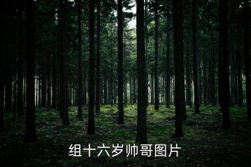 組十六歲帥哥圖片