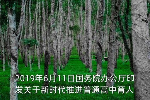 2019年6月11日國(guó)務(wù)院辦公廳印發(fā)關(guān)于新時(shí)代推進(jìn)普通高中育人