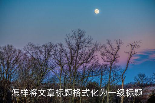 一級標題是什么，什么是一級標題二級標題啊我寫會計學畢業論文遇到的情況