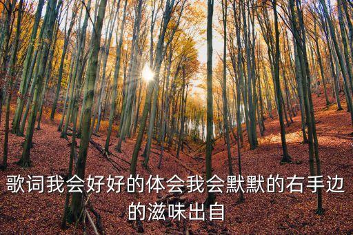 歌詞我會好好的體會我會默默的右手邊的滋味出自