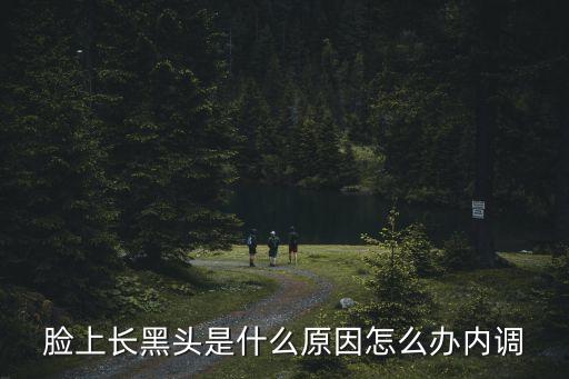 臉上長(zhǎng)黑頭，臉上長(zhǎng)黑頭是什么原因怎么辦內(nèi)調(diào)