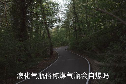 液化氣瓶，常用液化氣瓶的大小