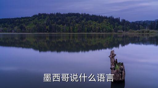 墨西哥說什么語言