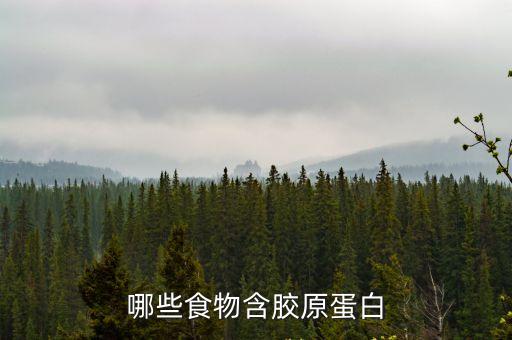 哪些食物含膠原蛋白