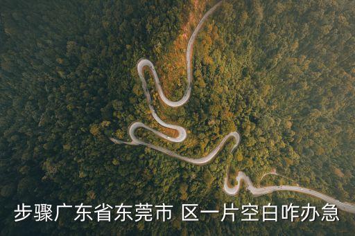 步驟廣東省東莞市 區一片空白咋辦急