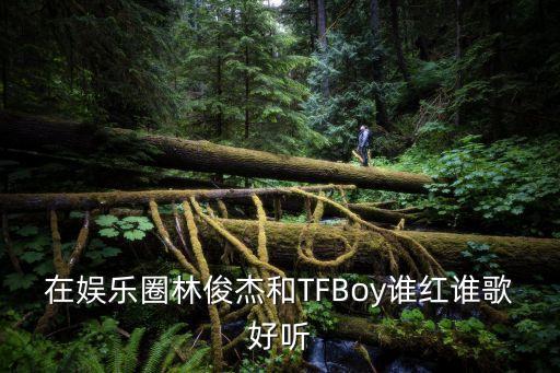 在娛樂圈林俊杰和TFBoy誰紅誰歌好聽