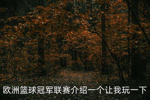 歐洲籃球冠軍聯(lián)賽介紹一個讓我玩一下