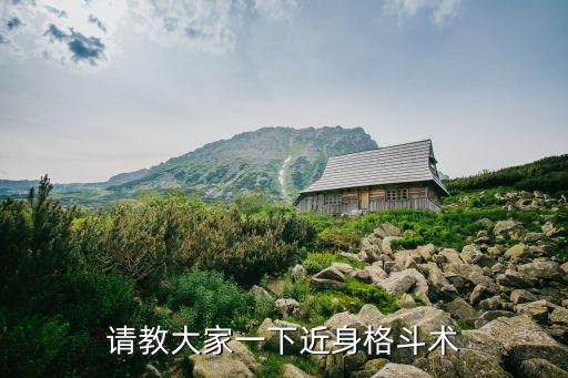 請教大家一下近身格斗術