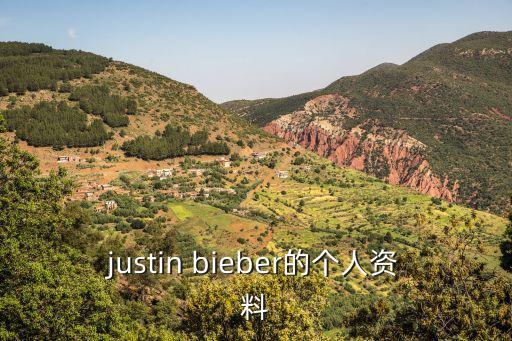 justin bieber的個人資料