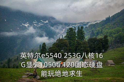 e5540，英特爾e5540 253G八核16G顯卡1050ti 120固態硬盤能玩絕地求生