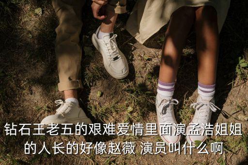 鉆石王老五的艱難愛情里面演孟浩姐姐的人長的好像趙薇 演員叫什么啊