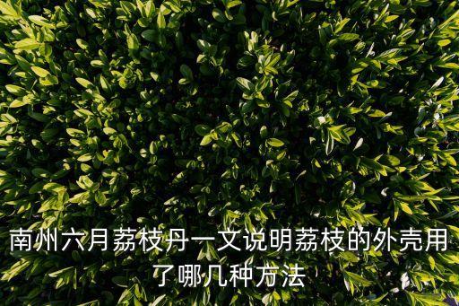 南州六月荔枝丹一文說明荔枝的外殼用了哪幾種方法