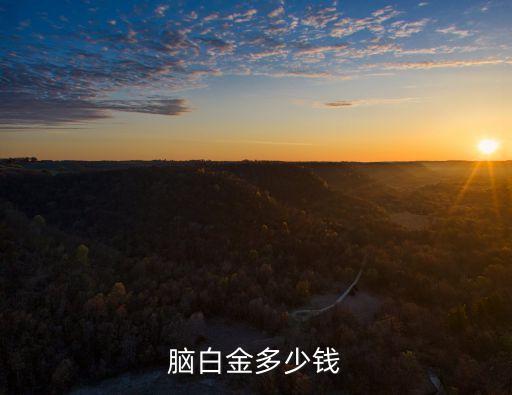 腦白金多少錢